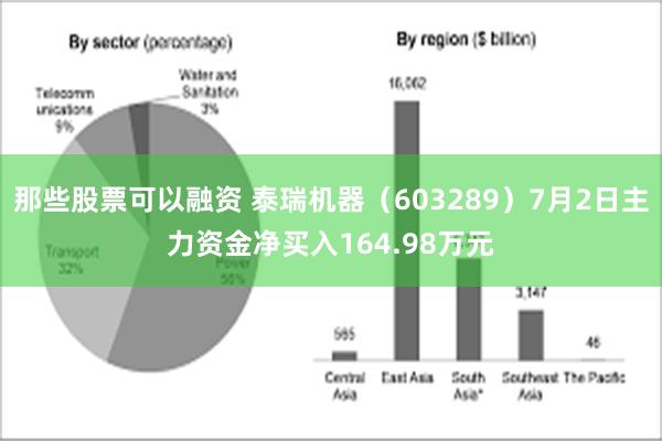 那些股票可以融资 泰瑞机器（603289）7月2日主力资金净买入164.98万元