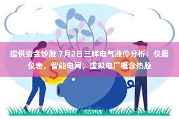 提供资金炒股 7月2日三晖电气涨停分析：仪器仪表，智能电网，虚拟电厂概念热股