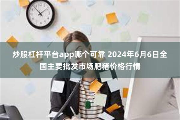 炒股杠杆平台app哪个可靠 2024年6月6日全国主要批发市场肥猪价格行情