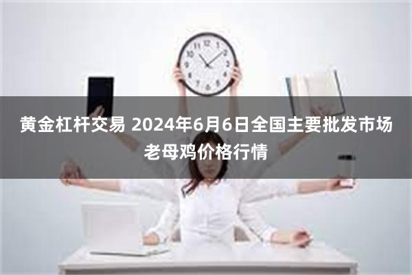 黄金杠杆交易 2024年6月6日全国主要批发市场老母鸡价格行情