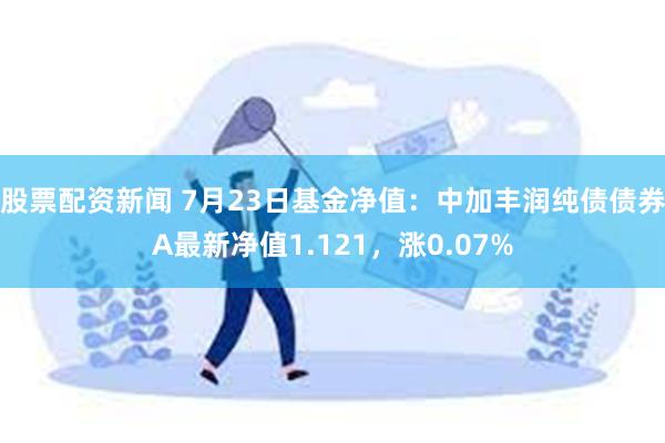 股票配资新闻 7月23日基金净值：中加丰润纯债债券A最新净值1.121，涨0.07%