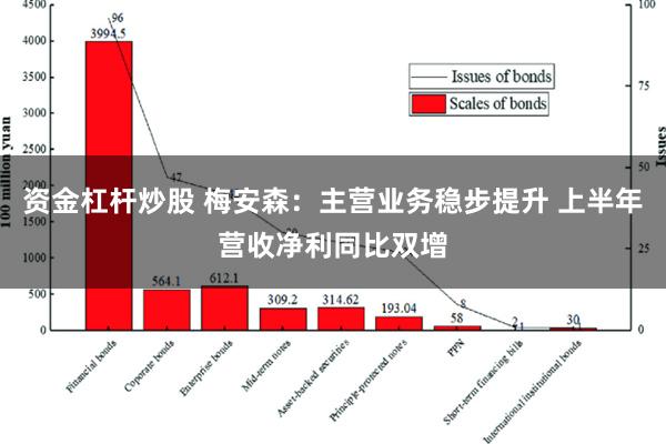 资金杠杆炒股 梅安森：主营业务稳步提升 上半年营收净利同比双增