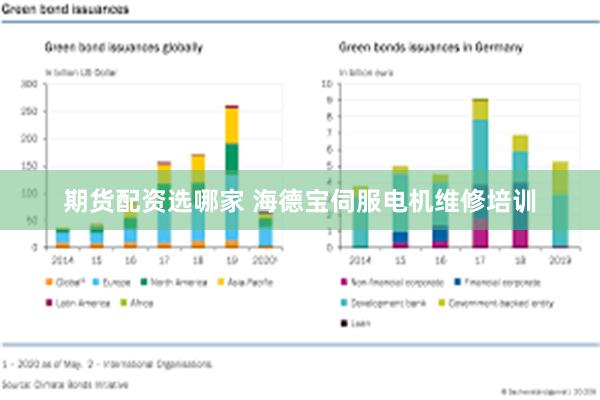 期货配资选哪家 海德宝伺服电机维修培训