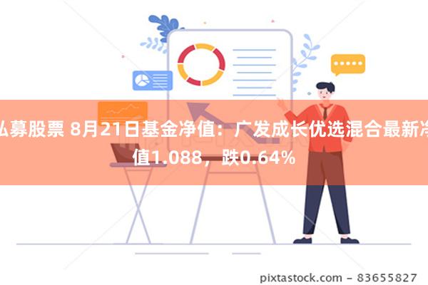 私募股票 8月21日基金净值：广发成长优选混合最新净值1.088，跌0.64%