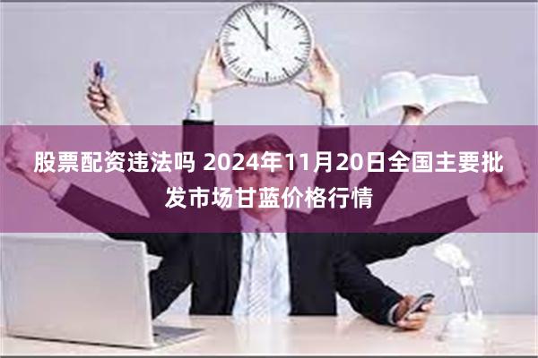 股票配资违法吗 2024年11月20日全国主要批发市场甘蓝价格行情