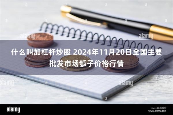 什么叫加杠杆炒股 2024年11月20日全国主要批发市场瓠子价格行情