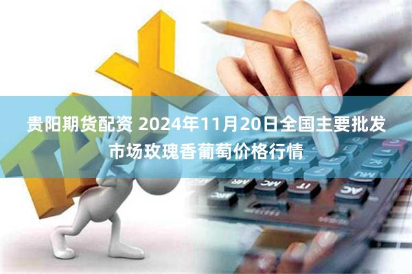 贵阳期货配资 2024年11月20日全国主要批发市场玫瑰香葡萄价格行情