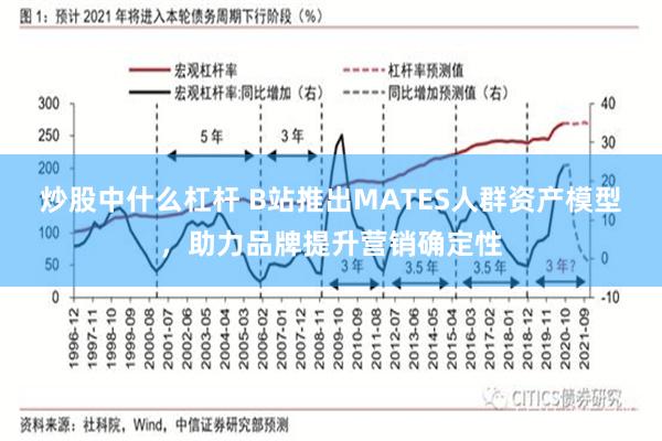 炒股中什么杠杆 B站推出MATES人群资产模型，助力品牌提升营销确定性