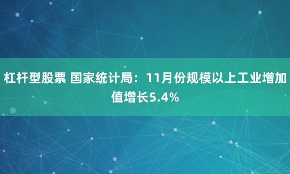 杠杆型股票 国家统计局：11月份规模以上工业增加值增长5.4%