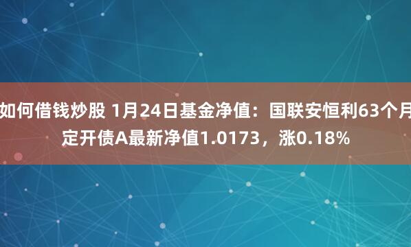 如何借钱炒股 1月24日基金净值：国联安恒利63个月定开债A最新净值1.0173，涨0.18%