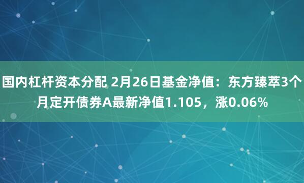 国内杠杆资本分配 2月26日基金净值：东方臻萃3个月定开债券A最新净值1.105，涨0.06%