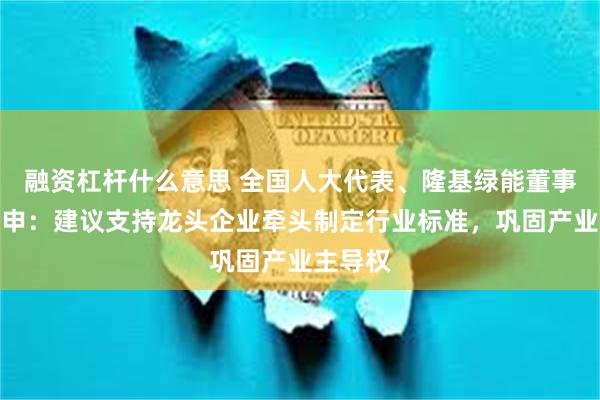 融资杠杆什么意思 全国人大代表、隆基绿能董事长钟宝申：建议支持龙头企业牵头制定行业标准，巩固产业主导权